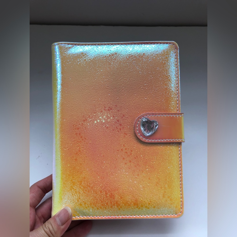 2/$30 - planner with inserts